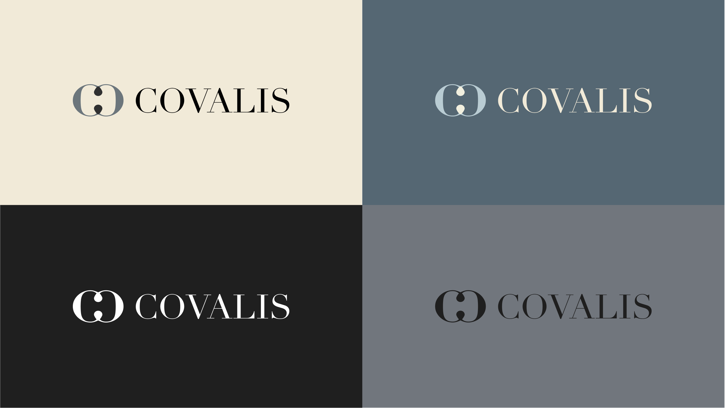 Covalis Capital brand elements